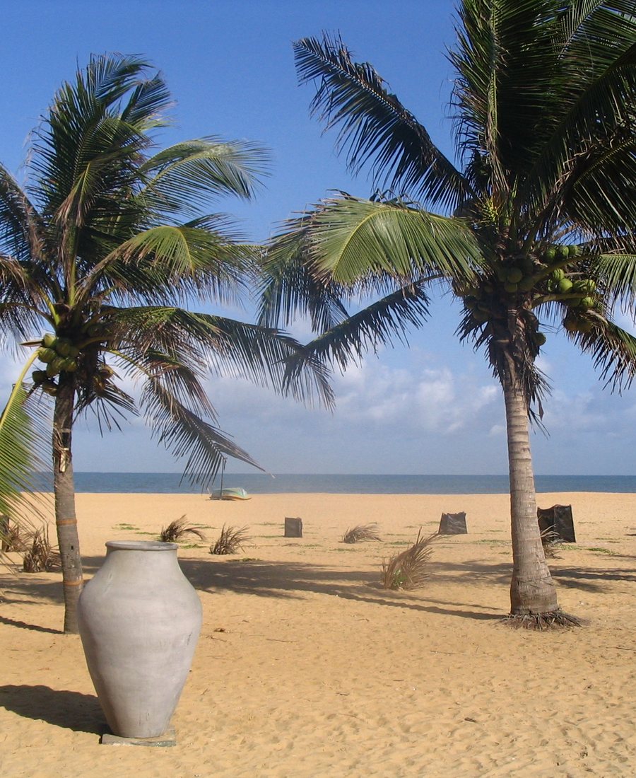 Beach tours