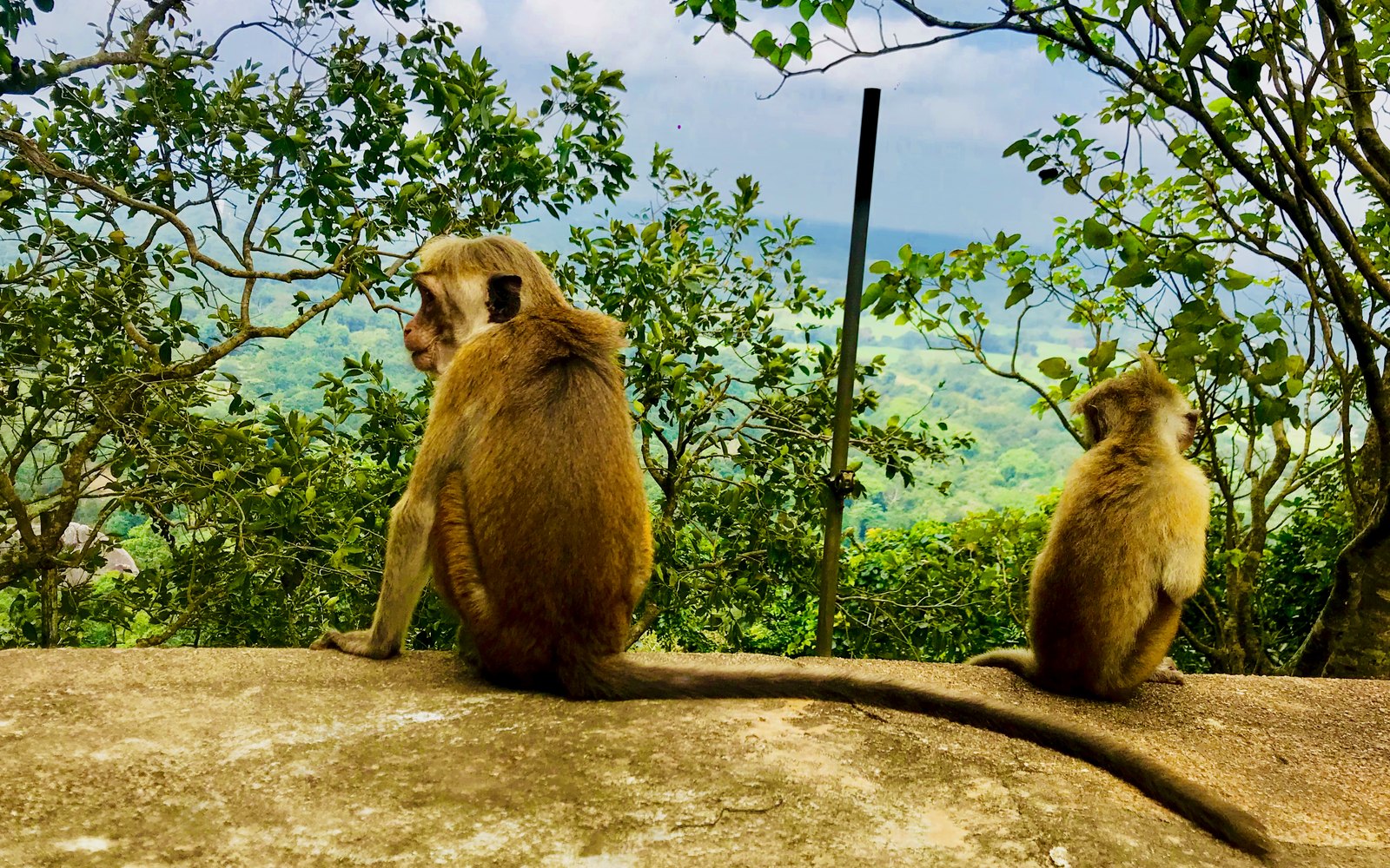 Sigiriya